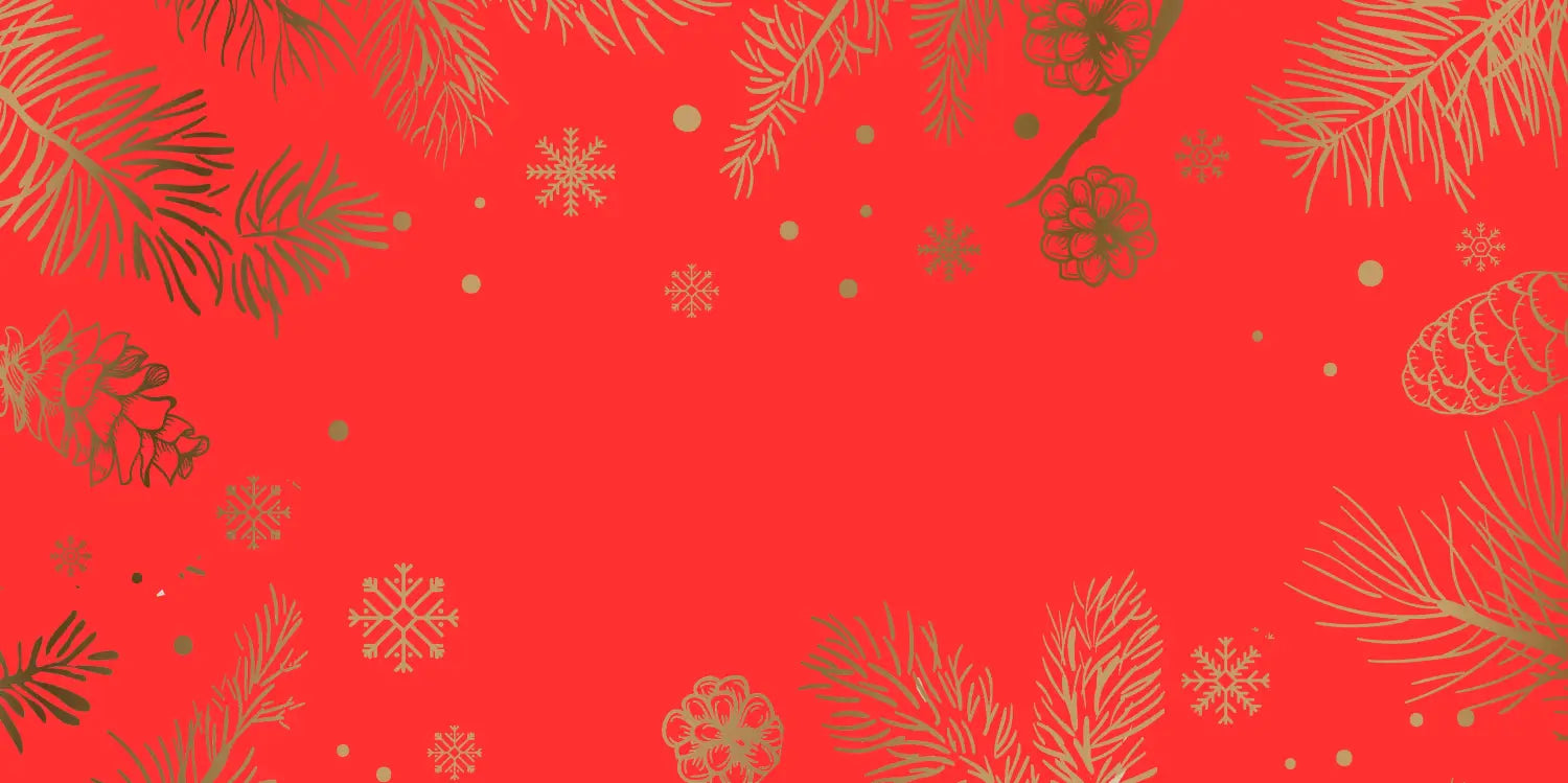 Christmas Decorations - I Want That Present