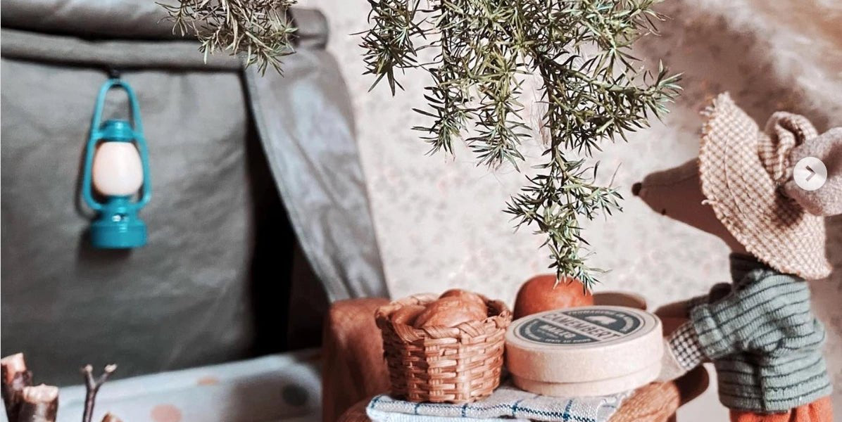 Maileg Hiking & Skiing Collection - I Want That Present