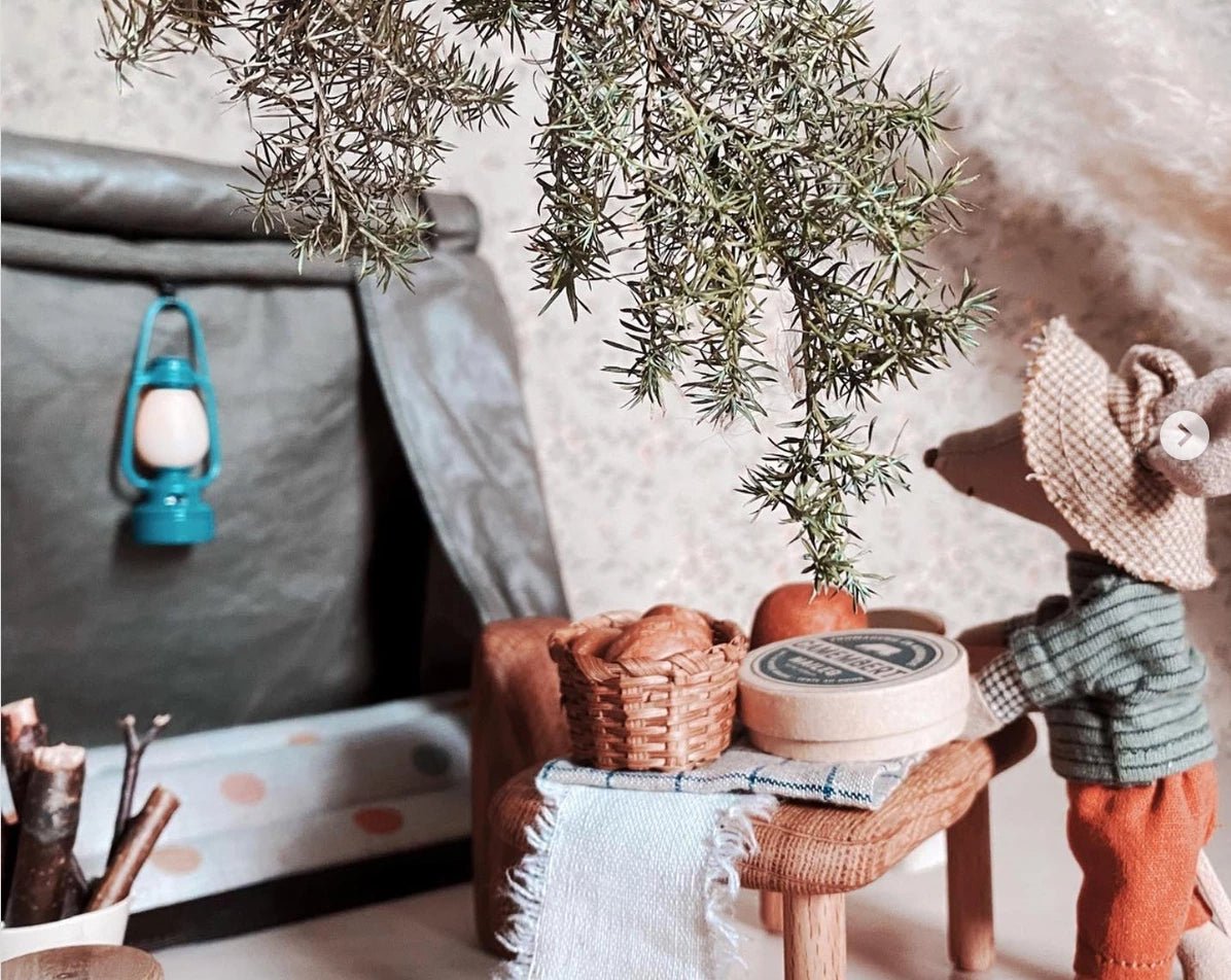 Maileg Hiking & Skiing Collection - I Want That Present