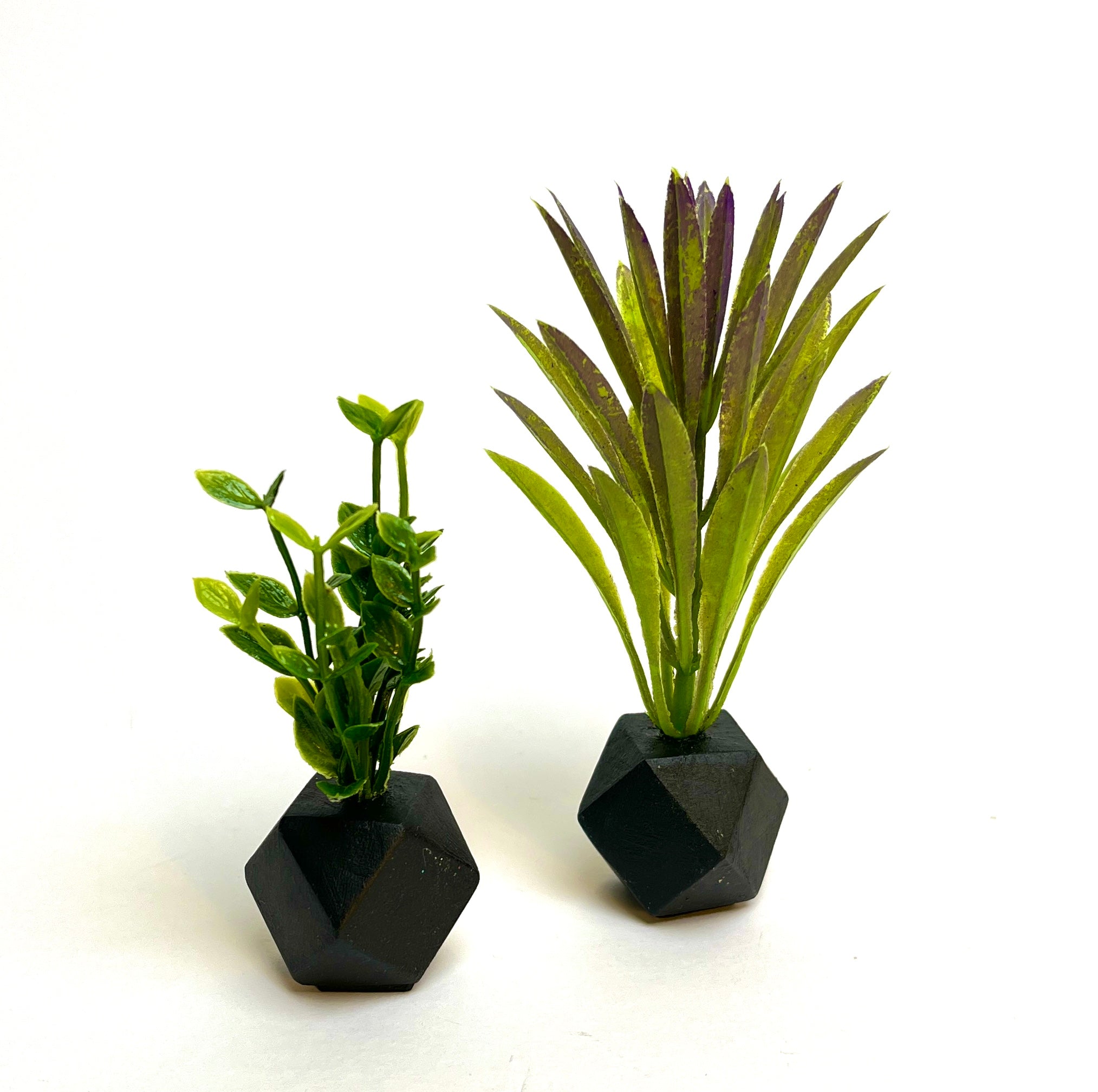 Dollhouse Miniature Set of 2 Plants - Black Pots