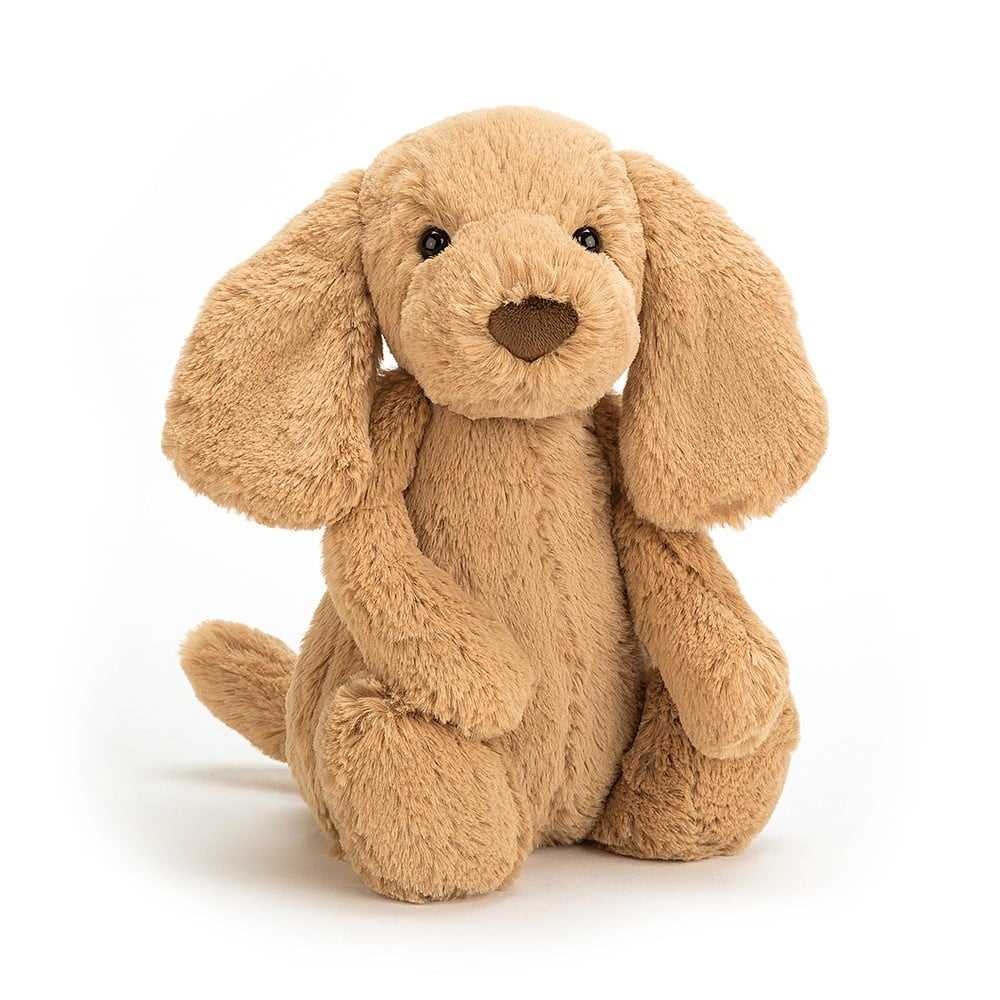 Jellycat Bashful Toffee Puppy - Big