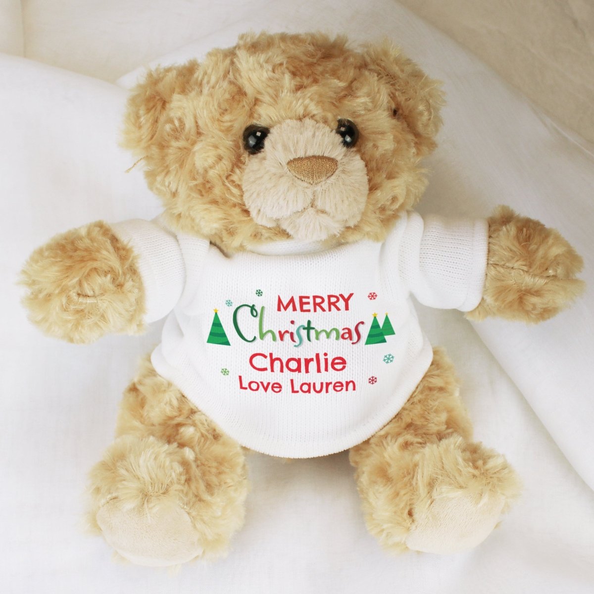 Personalised Merry Christmas Teddy Bear - I Want That Present