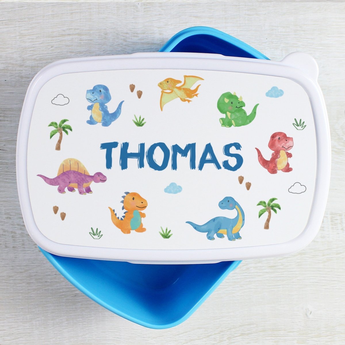 Personalised Dinosaur Name Only Blue Lunch Box - I Want That Present