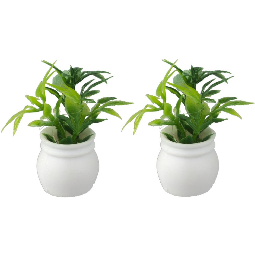 Miniature Plant in White Pot (x2)