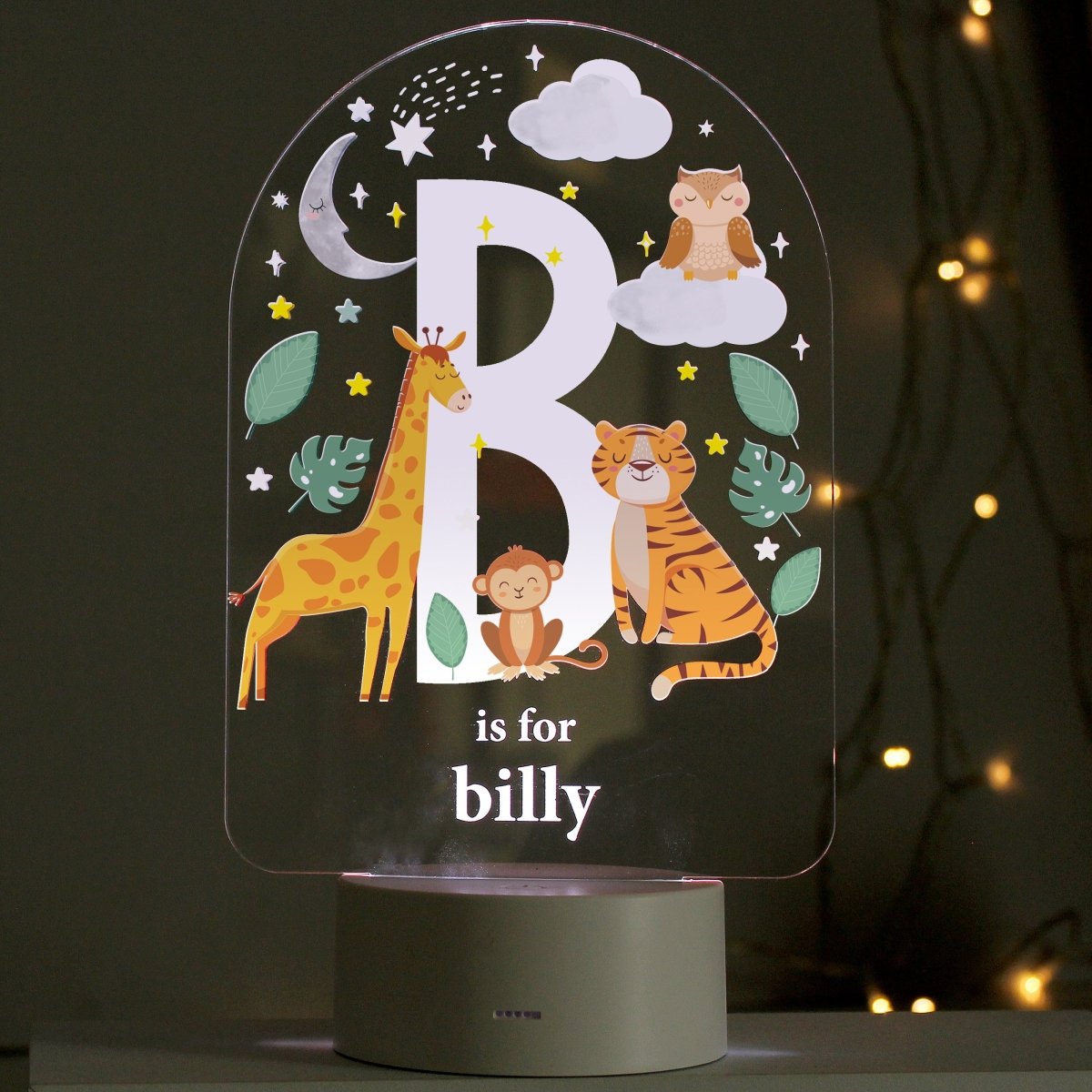 Personalised Animal Alphabet LED Colour Changing Night Light - I Want That Present