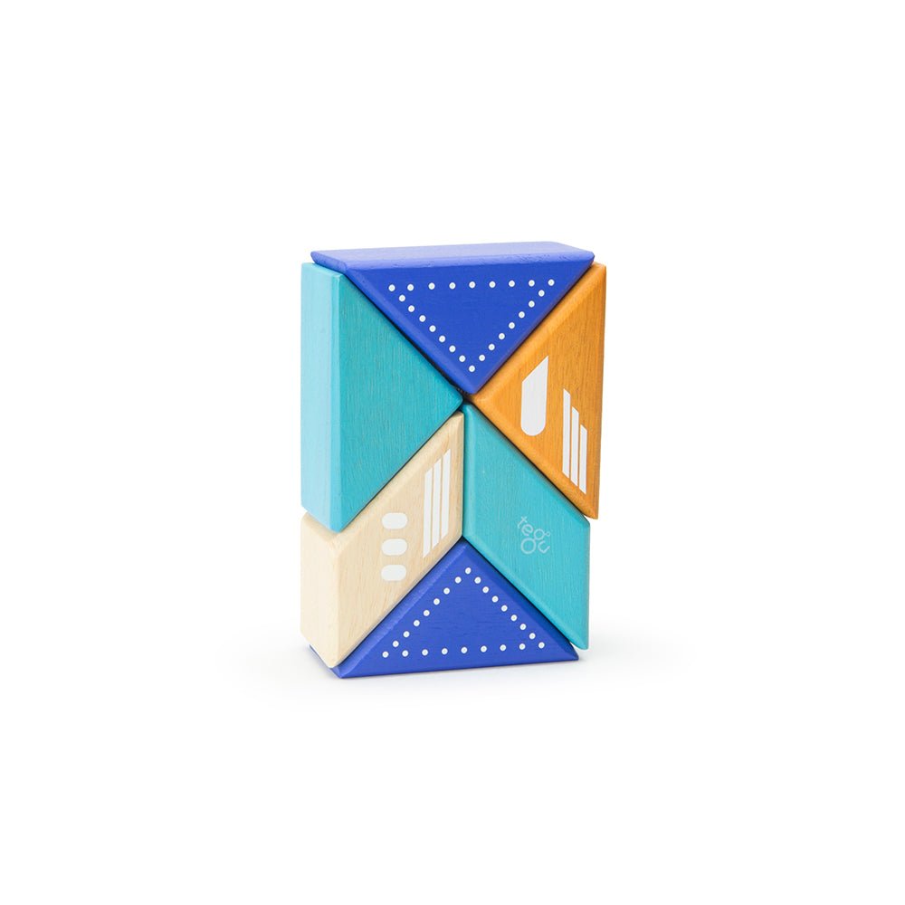 Tegu Magnetic Travel Pal Jet (6 Piece) - I Want That Present