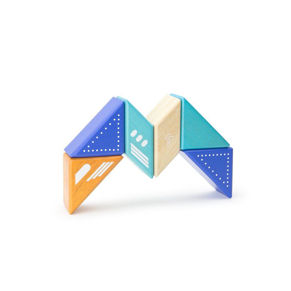 Tegu Magnetic Travel Pal Jet (6 Piece) - I Want That Present