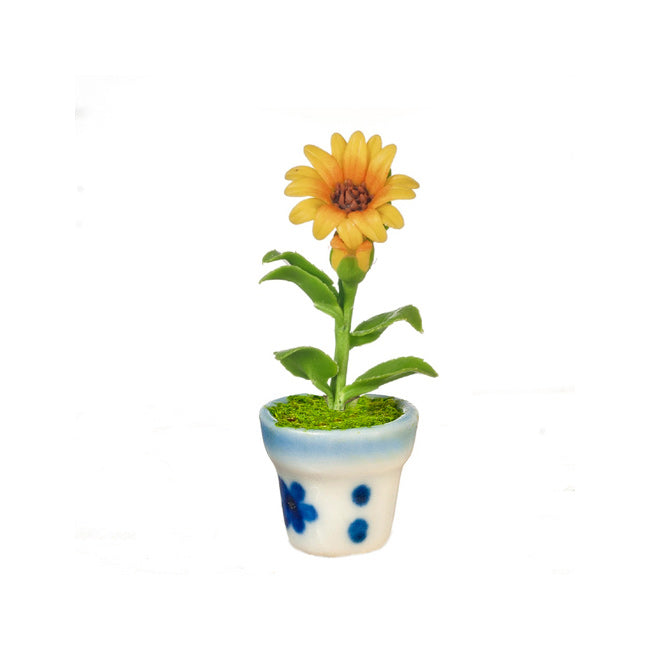 Miniature Sunflower in Ceramic Pot