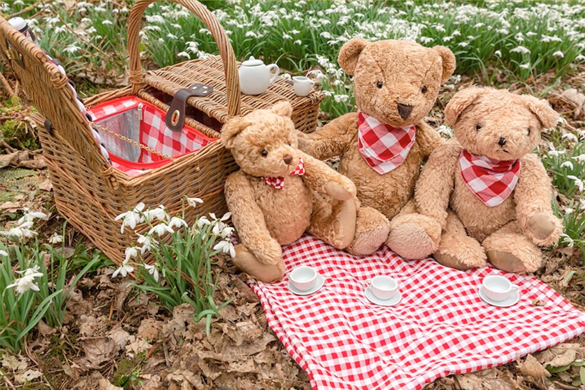 If You Go Down to the Woods Today... - I Want That Present