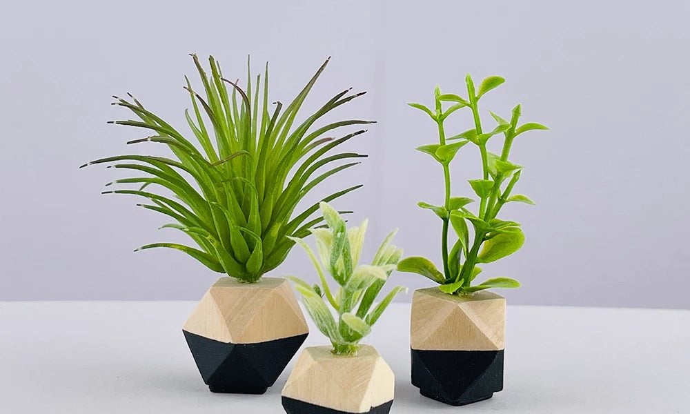 Dollshouse Miniatures - I Want That Present