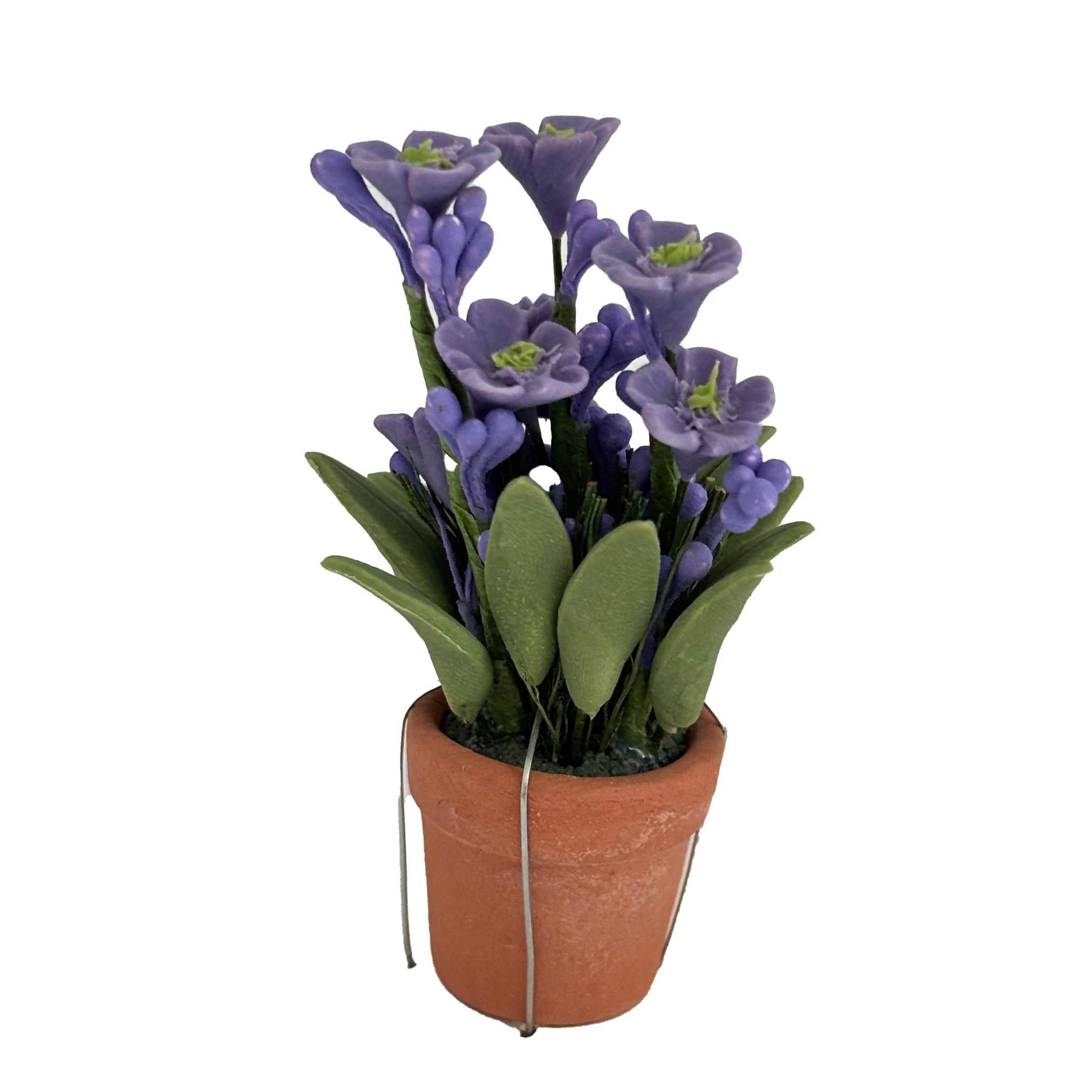 Miniature Lilly in Ceramic Pot