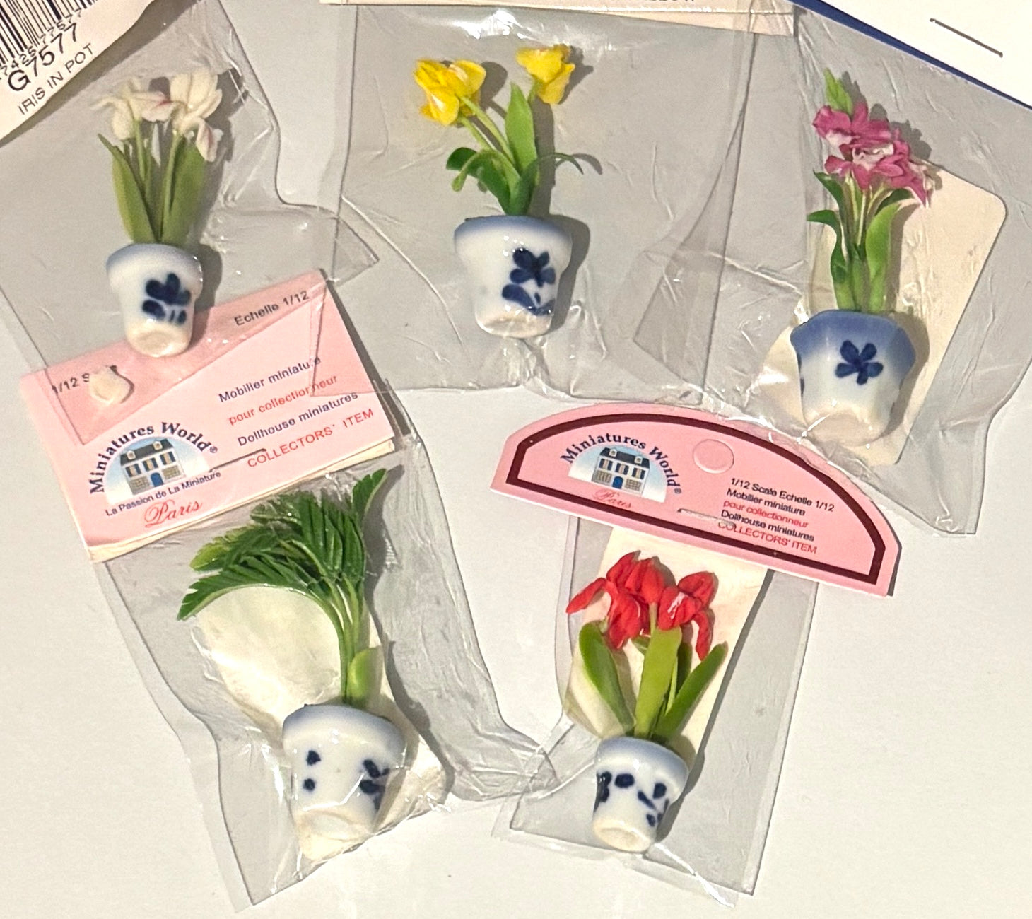Miniature 5 Assorted Flowers in Ceramic pots