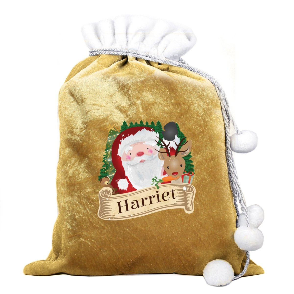 Personalised Christmas Santa Gold Sack - I Want That Present
