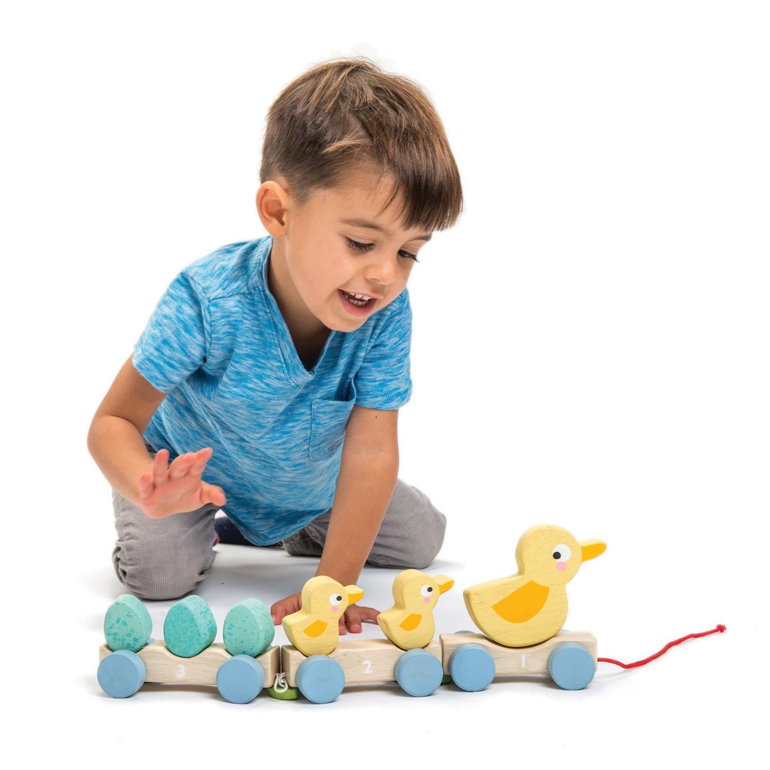 Tender Leaf Toys Pull Along Ducks