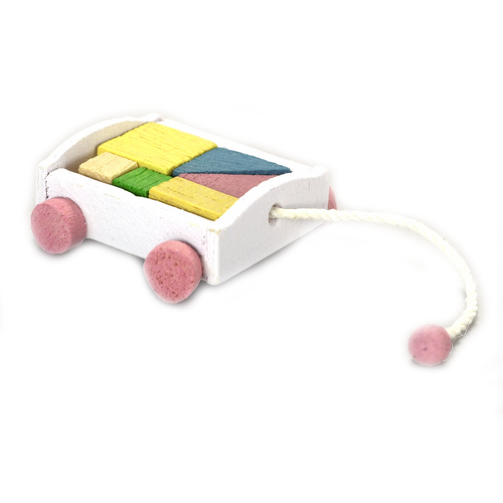 Miniature Pull Along Wagon & Blocks