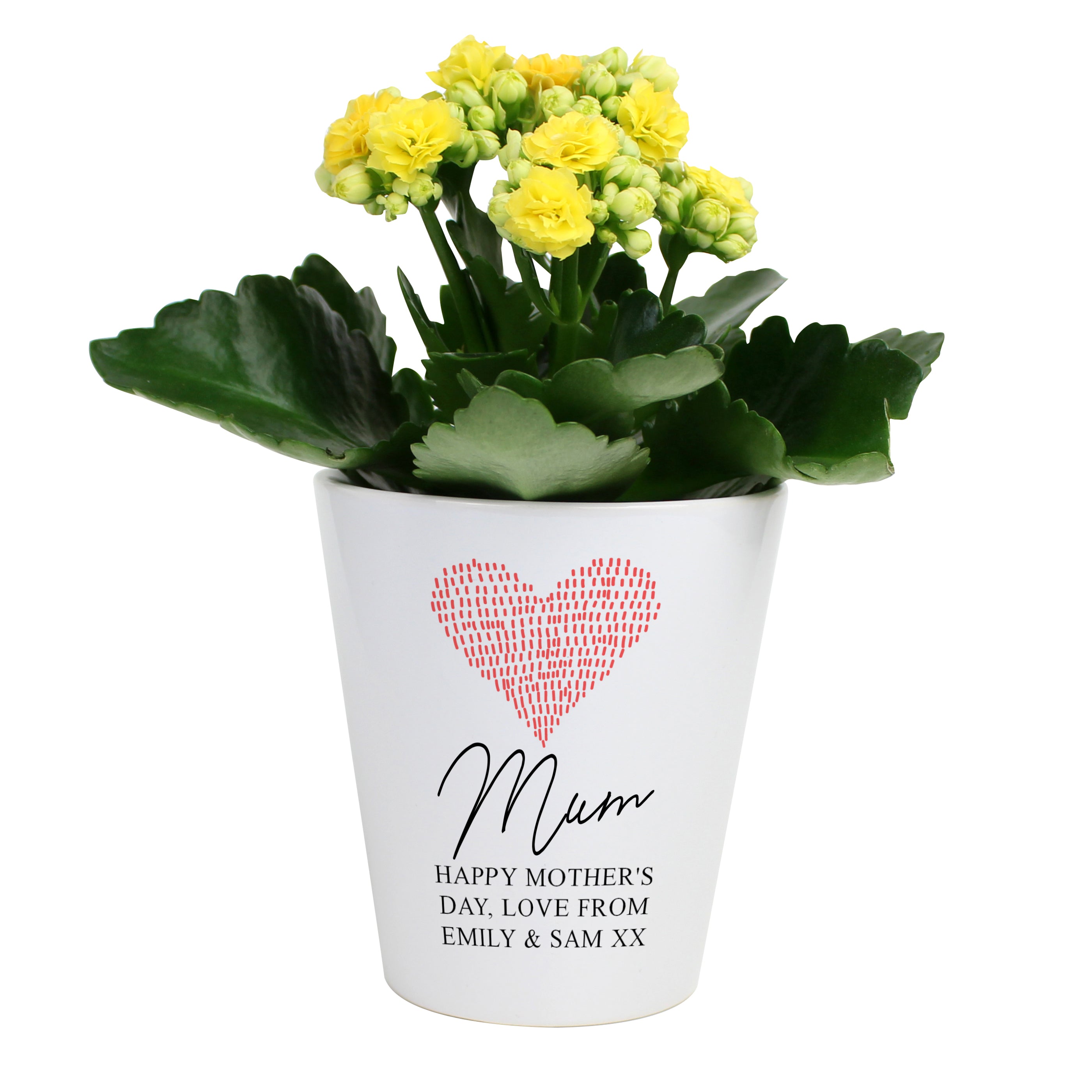 Personalised Heart Flower Pot